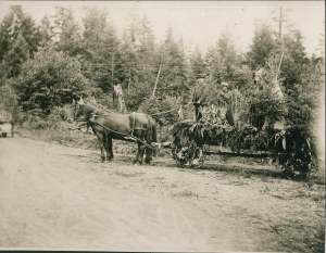 Dressed as Native Americans