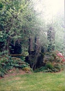 Canadya Ruins - Stone columns (1989)