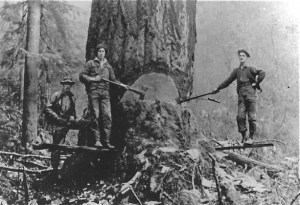 Clyde Williams on right helping fall a tree