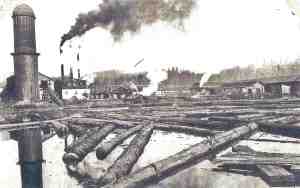 Eatonville Lumber Company 