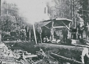 Eatonvlle Lbr Co yarder