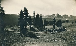 Stage Coach on its way to Mount Rainier