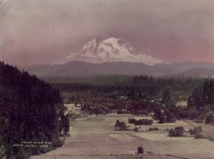 Ohop Valley — with paint thinner splashes