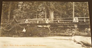 One Log Bridge in Mineral, Wash.