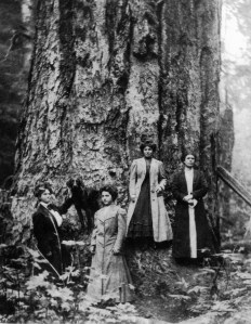 Women and dog photographed with large tree near Mineral, Wash.
