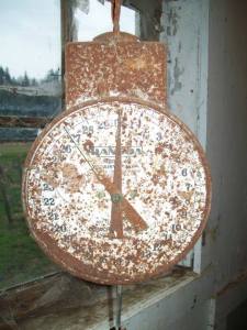 Scale for Weighing Milk Buckets