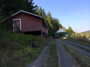 Brooder House - 2014