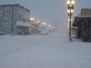 Snowy Mashell 2011