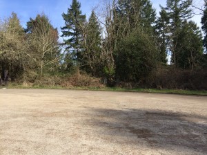 Ohop Bob 2015 - at a distance