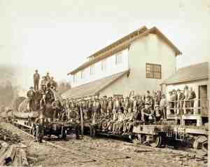 Shipping out the logs