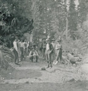 Alder road gang (with dog)