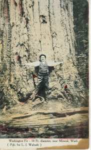 1909 Mineral postcard