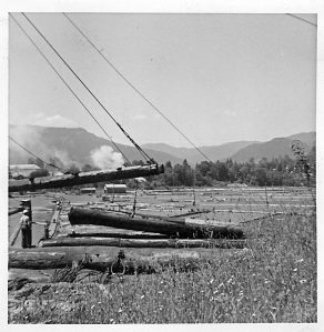 Mineral lake - logging 1964 (2)