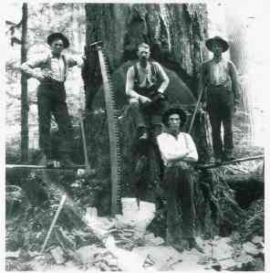 C.  Boettcher fallig crew