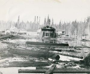Alder sawmill ca 1905