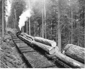 Logs coming out of Mineral (1949(