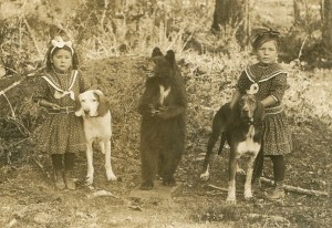 Clara's daughters Clara and Bessie with their hunting dogs and photographer's stuff bear. Clara's daughters Clara and Bessie with their hunting dogs and photographer's stuff bear.