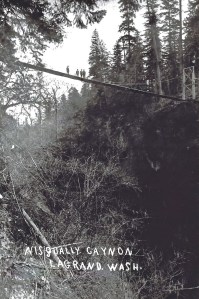 Suspension bridge across the Nisqually Suspension bridge across the Nisqually
