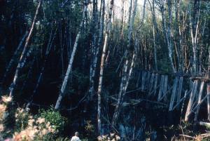 Old trestle near National