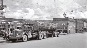 Shot of enormous tree on Murphy's truck on Mashell Ave. 