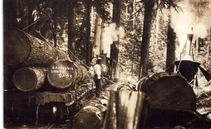 Eatonville Lumber Company Logging