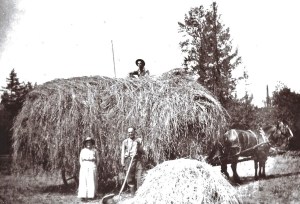 Haying the hard way — possibly the Carlson family