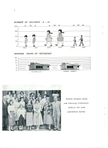 Population Survey 1956