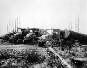 Fleet of Griffith & Graeber's  Kelly trucks