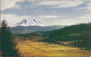 Ohop Valley - summer