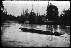 shovelnose canoe shovelnose canoe