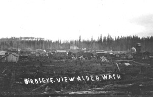Old Alder in around 1920 Old Alder in around 1920