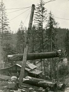 Charlie Boettcher, moving a log