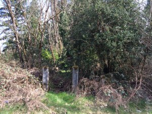 Ohop Bob remains (2015)