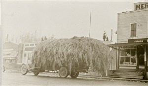 Truck full of hay outside the Red & White Store