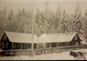 Hotel Snow with cow Hotel Snow with cow