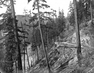 Road through La Grande - Canyon