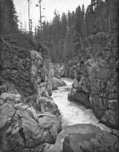 Nisqually River, early 1900s Nisqually River, early 1900s