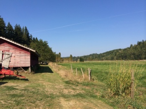 Burwash/Kjelstad farm Summer 2014