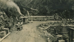 Woman at the Canyon Road offices