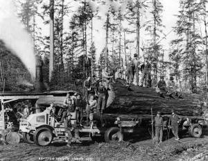 Griffih & Graeber Logging (1923)