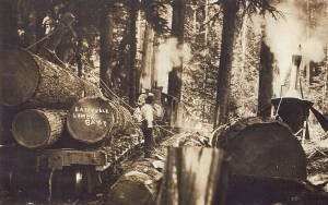 Eatonville Lumber Company rail system