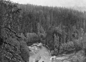 Where the Nisqually and Mashell meet Where the Nisqually and Mashell meet