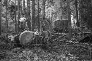 Graeber Logging