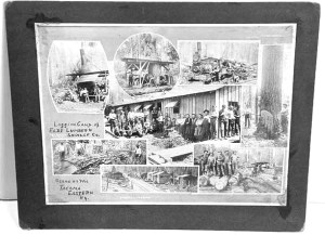 Elbe Lumber & Shingle Co (Full view of wall card)