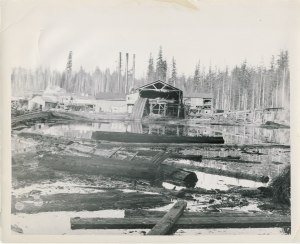 Alder sawmill around 1905