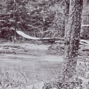 Swinging Bridge in Elbe